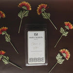 Simply Modern Soy Wax Melt - Clover & Aloe - Lace and Grace Boutique