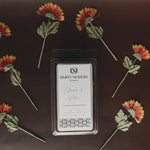 Simply Modern Soy Wax Melt - Clover & Aloe - Lace and Grace Boutique