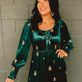 Embroidered Long Sleeve Velvet Maxi Dress - Jade