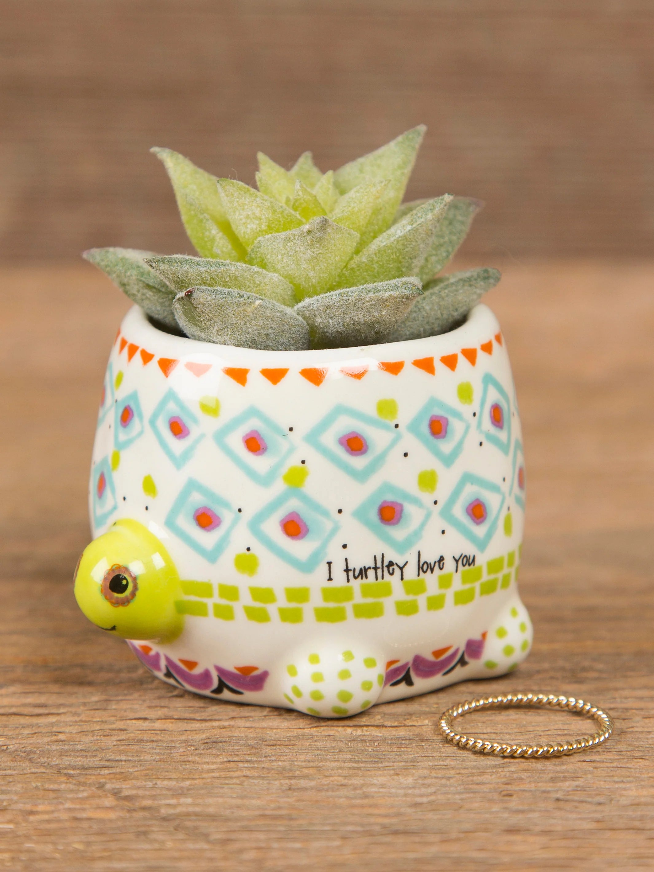Natural Life Critter Succulent Turtle - Lace and Grace Boutique