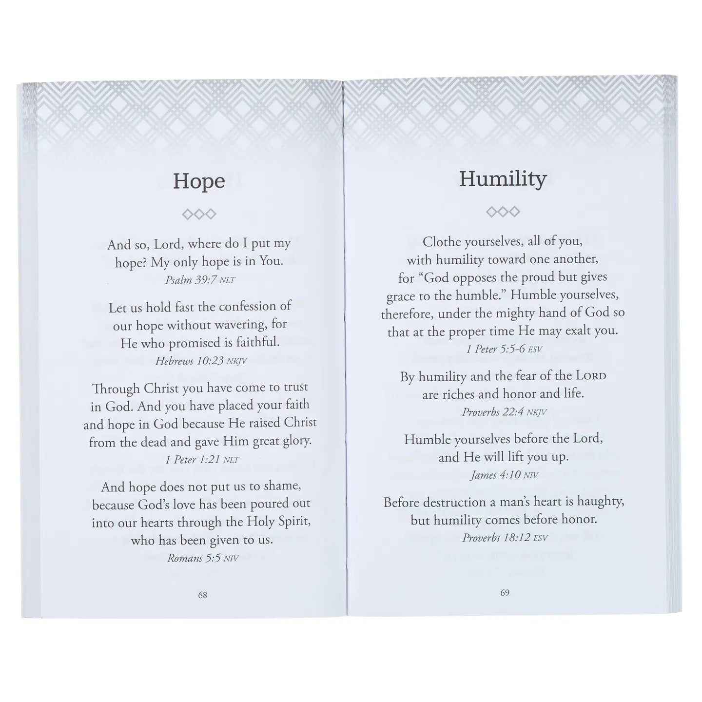 Promises From The Word of God for Men - Lace and Grace Boutique