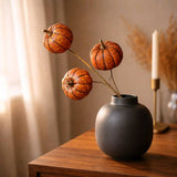 Orange Pumpkin Stem - Lace and Grace Boutique