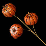Orange Pumpkin Stem - Lace and Grace Boutique