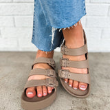 Birkenstock Florida III EVA Pap Flex Sandal - Gray Taupe