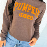 Pumpkin Season Mineral Washed Sweatshirt - Brown