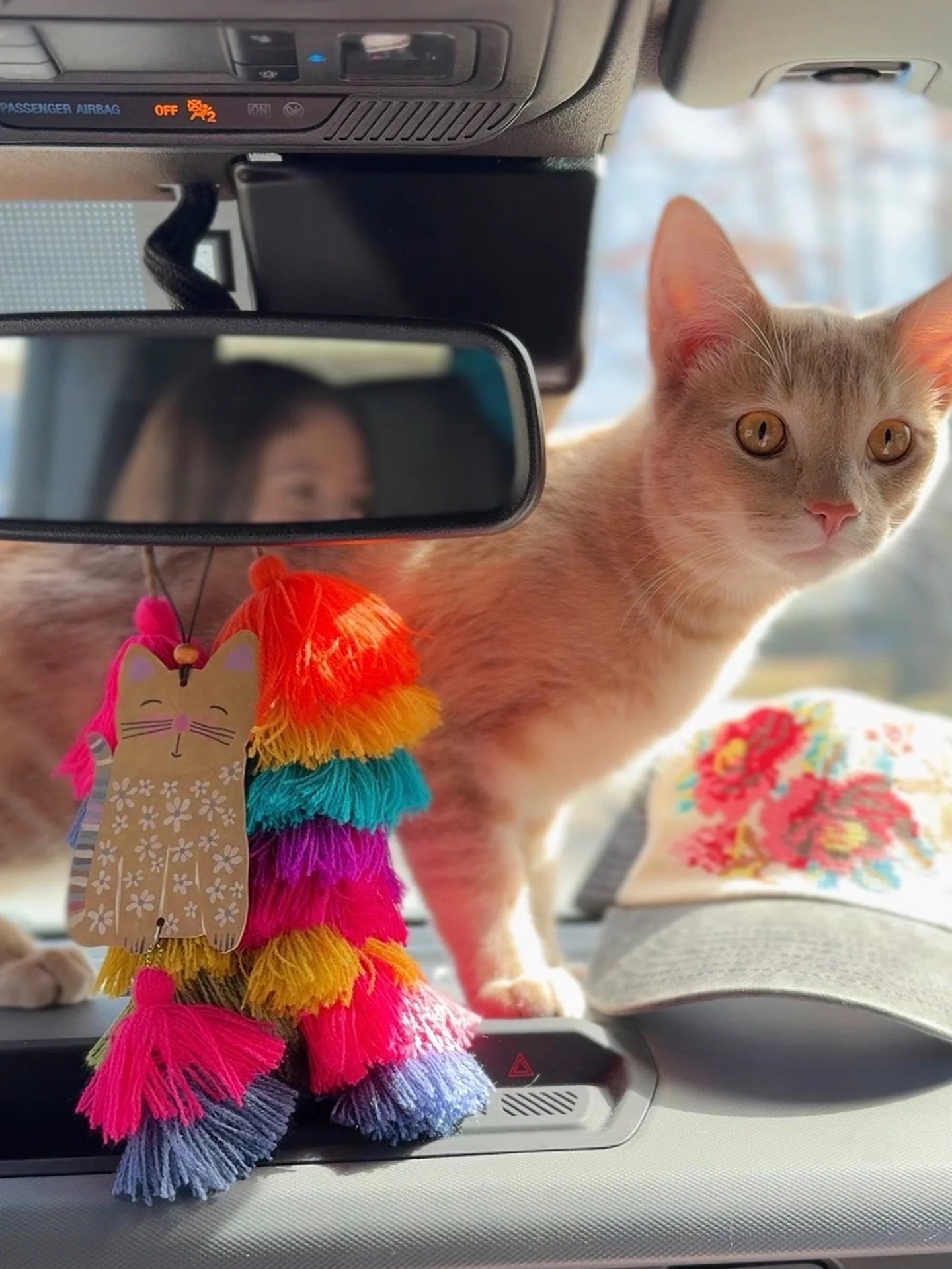 Natural Life Car Air Freshener - Cat - Lace and Grace Boutique