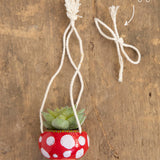 Natural Life Mini Hanging Mushroom Succulent