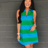 Striped Collared Shift Mini Dress - Blue Garden - Lace and Grace Boutique