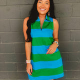 Striped Collared Shift Mini Dress - Blue Garden - Lace and Grace Boutique