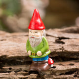 Natural Life Garden Gnome In A Box