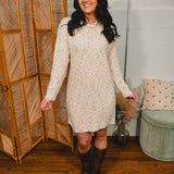 Multicolor Long Sleeve Sweater Dress - Oatmeal