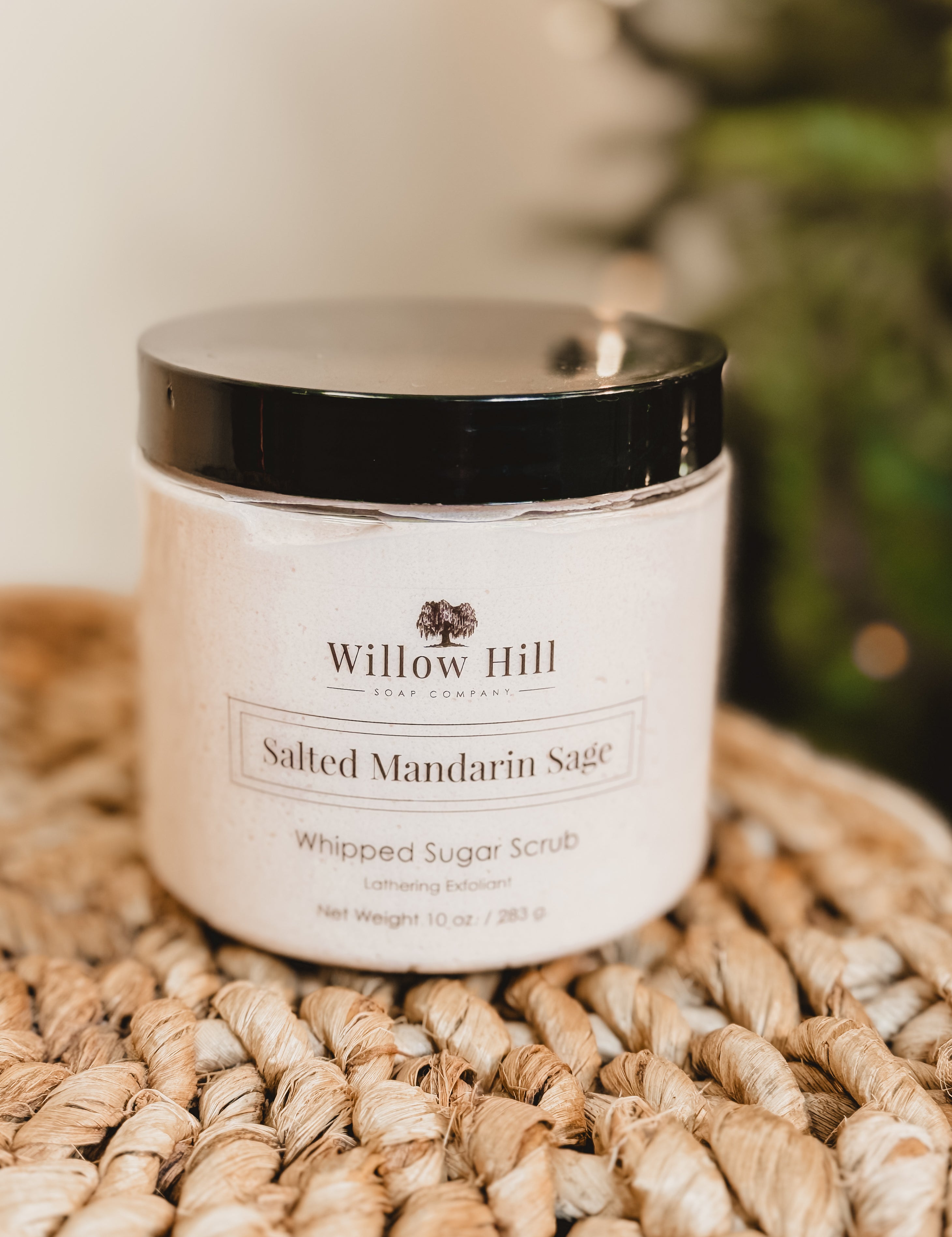 Willow Hill Whipped Sugar Scrub - Salted Mandarin Sage - Lace and Grace Boutique