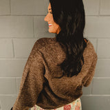 Long Sleeve V-Neck Pullover Sweater - Brown