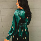 Embroidered Long Sleeve Velvet Maxi Dress - Jade