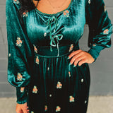 Embroidered Long Sleeve Velvet Maxi Dress - Jade