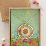 Natural Life Pressed Flower Necklace - White Daisy