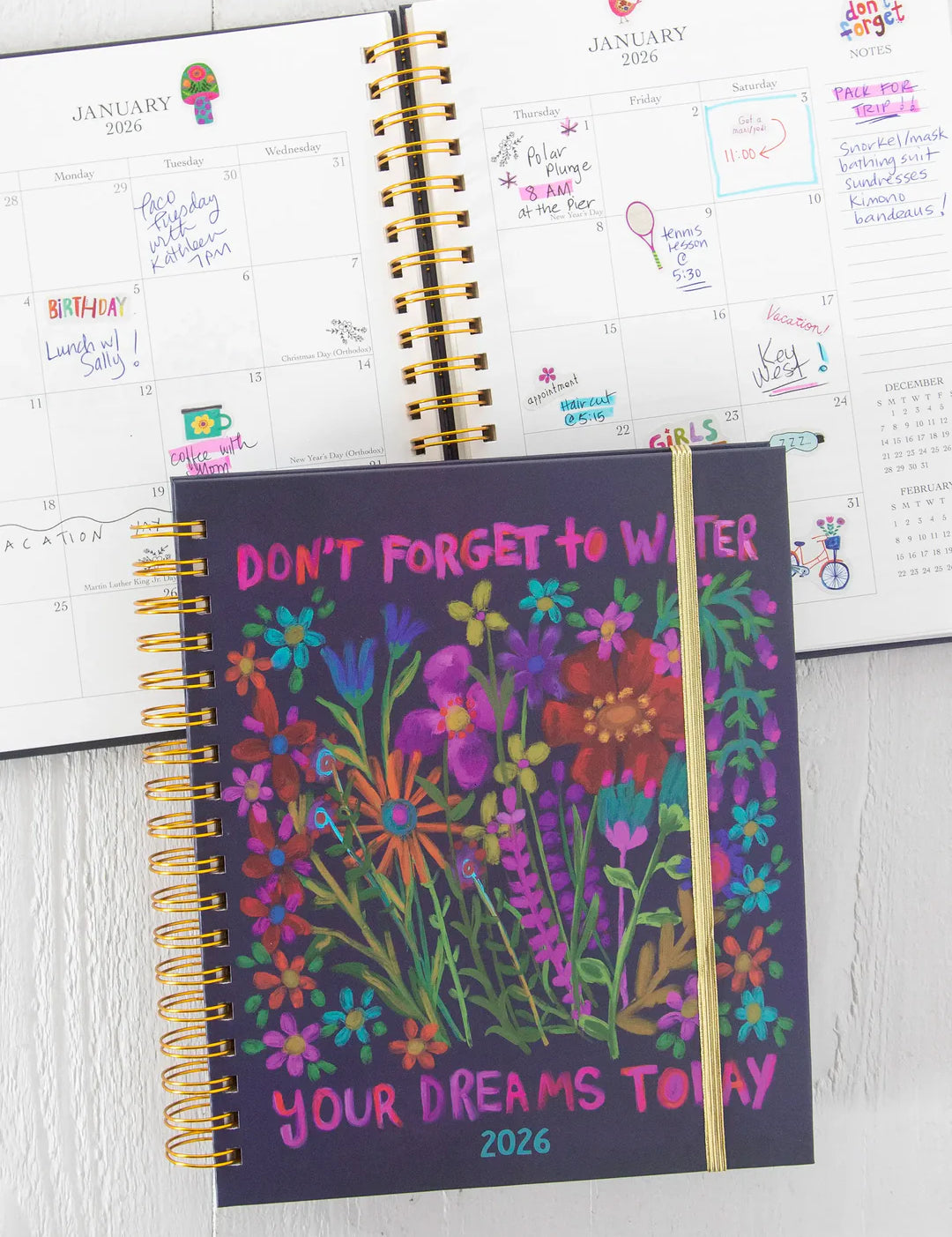 August 2025 - December 2026 17 month planner by Natural Life featuring holiday and goals pages, stickers, extra pockets, and more.