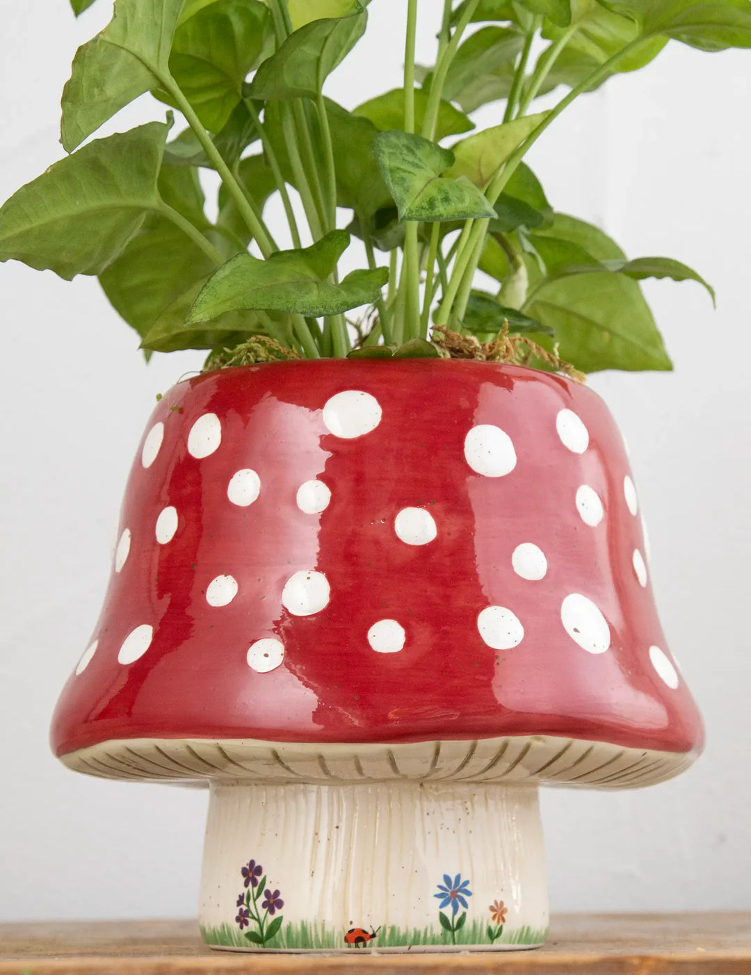 where to buy cute plant pots So Cute Ceramic Planter