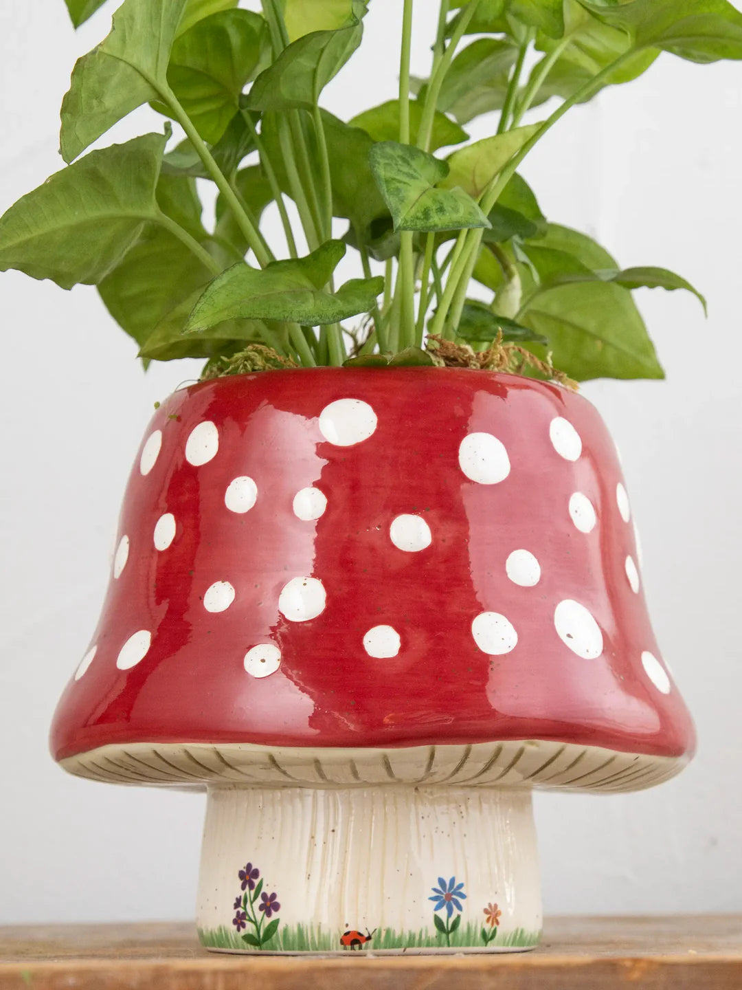 Natural Life So Cute Ceramic Planter - Mushroom Red - Lace and Grace Boutique