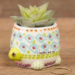 Natural Life Critter Succulent Turtle - Lace and Grace Boutique