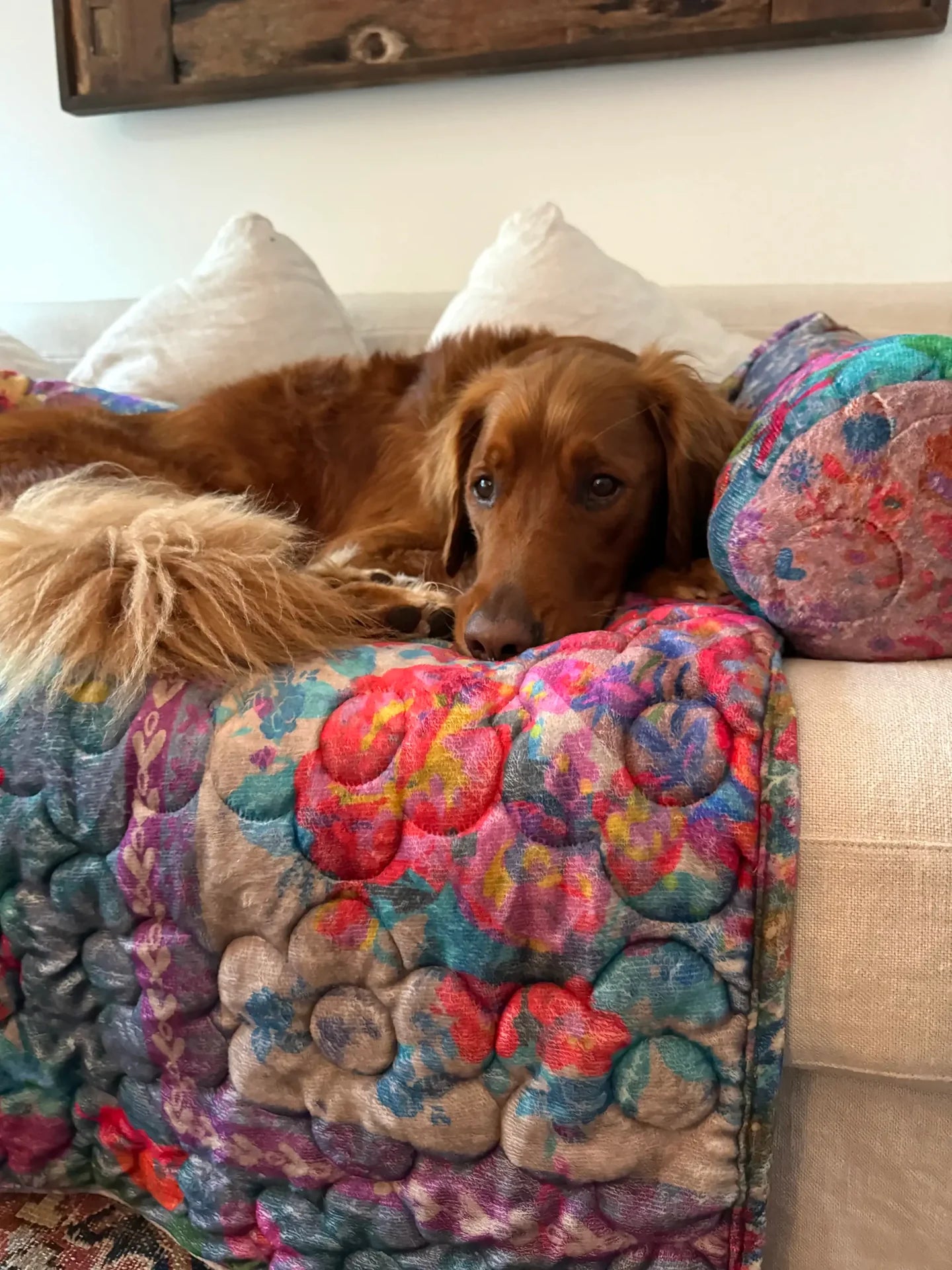 Natural Life Sofa Pet Bed - Rainbow Bandana Patchwork - Lace and Grace Boutique