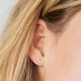 Natural Life Stud Earrings - Stars