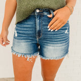 Distressed denim shorts with raw frayed hems and zip-up closure.