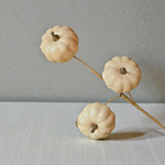 Short White Pumpkin Stem - Lace and Grace Boutique